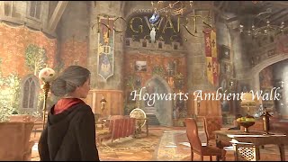 Walking to Gryffindor Common Room  Hogwarts Legacy Tour ambience [upl. by Nosretep]