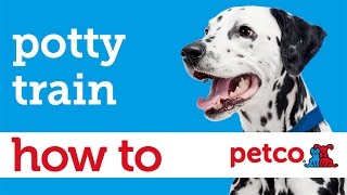 How to Potty Train Your Puppy Petco [upl. by Appolonia]