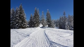 Obidowa  Turbacz trasa biegowa [upl. by Krissy]