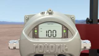 Rotork ELB with GasOverOil Actuators [upl. by Lotte]