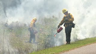 Gainesvilles Prescribed Fire Program [upl. by Wallraff]