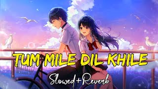 💞 TUM MILE DIL KHILE  TRENDING SONG 🎧  RELAX LOFI SLOWEDREVERB  LOFI MONSUP SONG [upl. by Kenlee]