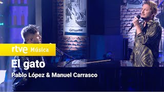 Pablo López y Manuel Carrasco – “El gato” Pablo López Sin Anestesia [upl. by Kubis]