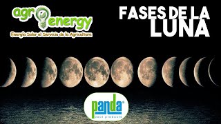 La importancia de las fases lunares en los cultivos 036 [upl. by Rehtnug]