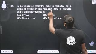 A polycistronic structural gene is regulated by a common promoter and regulator gene in bacteria [upl. by Aibara511]