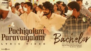 Pachigalam Paravaigalam Lyric Video  Bachelor  GV Prakash Kumar Sathish Selvakumar G Dillibabu [upl. by Prendergast]