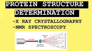 Protein Structure Determination  Xray crystallography  NMR spectroscopy  Biotechnology Notes [upl. by Enrico]