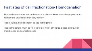 CELL FRACTIONATION For AQA Edexcel OCR A Level Biology [upl. by Ingamar709]