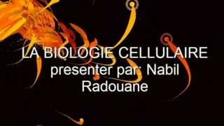 Biologie Cellulaire LES ORGANITES CELLULAIRE [upl. by Nitsraek]