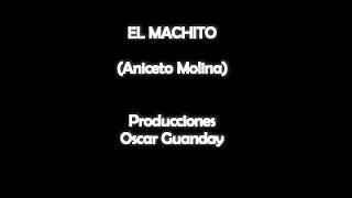 El machito aniceto molina  karaoke demo [upl. by Lytsyrk]