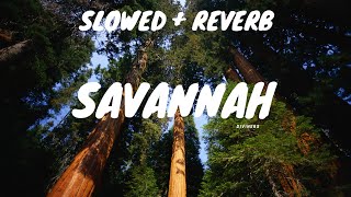 Savannah Slowed and reverbncs diviners [upl. by Kenlay262]