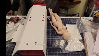 Unboxing of 2 Dollfie Dream Choice doll from Doll Point Akihabara Japan [upl. by Urion]