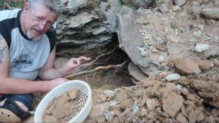 Gold Mining On The Yuba River [upl. by Atil467]