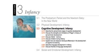 1100 033  Infant Cognitive Development [upl. by Sibyls325]