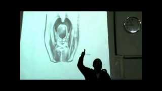 Dr Sherif Glal Neck 14  muscles of pharynx part 2 [upl. by Gayle]