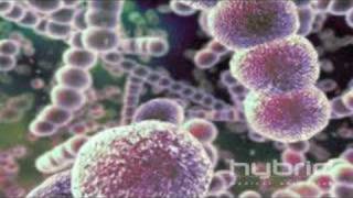 Streptococcus Pneumoniae Hybrid Medical Animation [upl. by Burdett690]