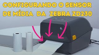 Configurando o Sensor de Mídia da Zebra ZD220 ZD230 [upl. by Emmanuel973]