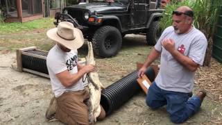 Freshwater Crocodile Unboxing [upl. by Hilario]