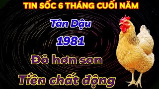 TRỜI THƯƠNG PHẬT ĐỘ TÂN DẬU 1981 VẬN ĐỎ HƠN SON  ĐÚNG 6 THÁNG CUỐI NĂM TIỀN CỦA ĐỔ VỀ CHẤT ĐỐNG [upl. by Ydne300]