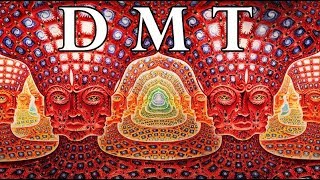 DMT Portal to the Spirit World [upl. by Kerwinn945]