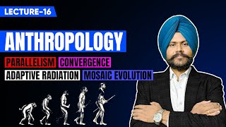 Anthropology Optional UPSC Mains Lecture 16  Human evolution amp emergence of man [upl. by Iramohs]