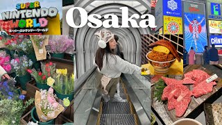 Osaka Vlog  Dotonbori Umeda Universal Studios BEST food 2024 🍣 [upl. by Eissolf71]