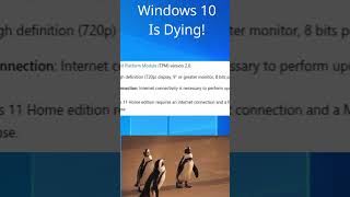 Windows 10 user time to switch to linux linux windows windowsvslinux [upl. by Kamila]