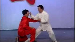 Short BaguaZhang Technique demonstration [upl. by Mir]