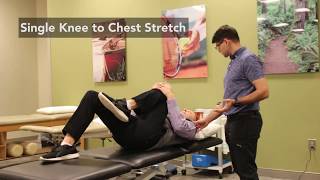 Wellstar OrthoSport How to Stretch for Sciatica Pain Relief [upl. by Isleana445]