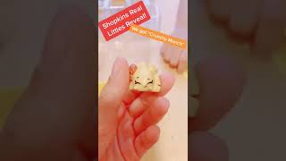 Shopkins Real Littles Reveal Crunchy Munch shopkins shopkinsreallittles [upl. by Ellemrac]