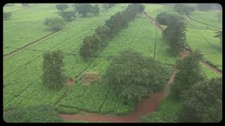 Mulanje [upl. by Lebbie]