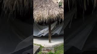 Camping Tequendama Playa Arrecifes Parque Tayrona parquetayrona tequendamahoteles camping [upl. by Derian135]