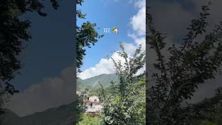 Home  Dharamshala  Himachal Pradesh  Meclodganj shorts dharamshala himachal viralvideo [upl. by Zoila]