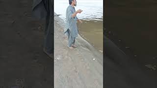 Beautiful fishing point at river  chenab river  talip wala patan fishing carpfishing fish [upl. by Laufer546]