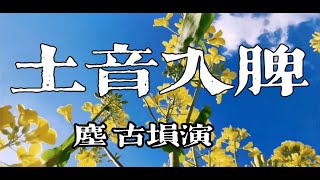 土音入脾，缓解焦虑紧张，安稳心理，助益睡眠，《尘》埙曲加长版 [upl. by Naul]