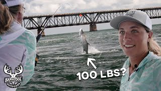 GIANT Tarpon Caught Under Florida Bridge [upl. by Wester]