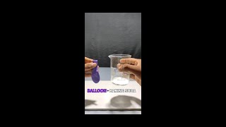 BALLOONVINEGAR And BAKING SODA Experiment  shorts scienceexperiment experiment [upl. by Angelle]