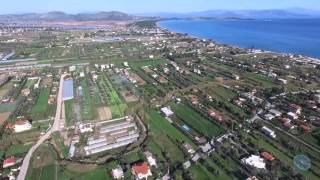 Agios Panteleimonas  Marathonas Beach  Αγιος Παντελείμονας  Μαραθώνας παραλία [upl. by Akemal]