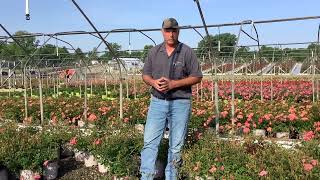 5 20 24 Thad Grower Video [upl. by Wolgast]