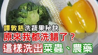 【挖健康】原來我都洗錯了！「譚敦慈洗蔬果秘訣」這樣洗出菜蟲農藥 [upl. by Lamson]