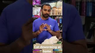 cat deworming at home cat deworming medicine and dosage part 2 cat deworming medicine cats [upl. by Osgood]