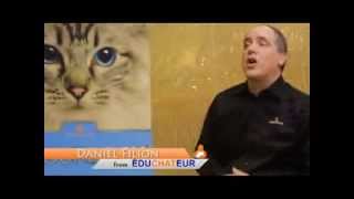 The best cat litter Intersand ODOURLOCK [upl. by Susette]