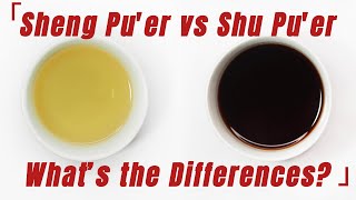 Raw Pu erh Tea vs Ripe Pu erh Tea [upl. by Levi805]