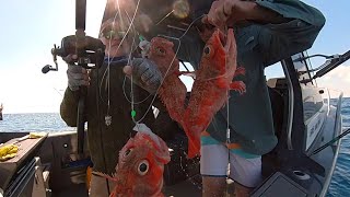 Jervis Bay offshore fishing [upl. by Bowden771]