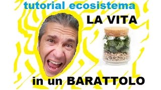 quotAtmosfera unoquot TUTORIAL Ecosistema  Microclima In BARATTOLO  marco pesci [upl. by Laney]