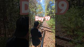 Day 19 Garmin Fenix 8 Solar amp DJI Action 5 Pro 🐶🍂 forest grounding relax [upl. by Pownall]