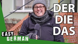 Der Die Das  More Than Just Articles  Super Easy German 158 [upl. by Rowe]