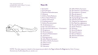 Week 28 Learning and Practicing Iyengar Yoga for Beginners [upl. by Becket20]