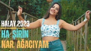 Ha Şirin Nar Ağacıyam  Halay  Aylin Demir [upl. by Festatus]