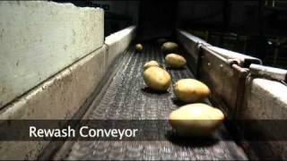 Our Potato Packing Shed In Action [upl. by Doniv]